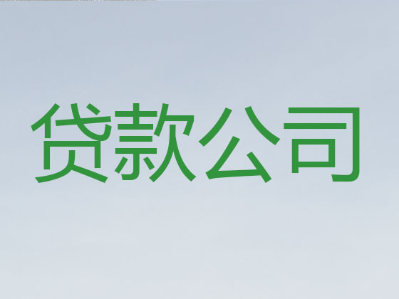 苍南贷款公司